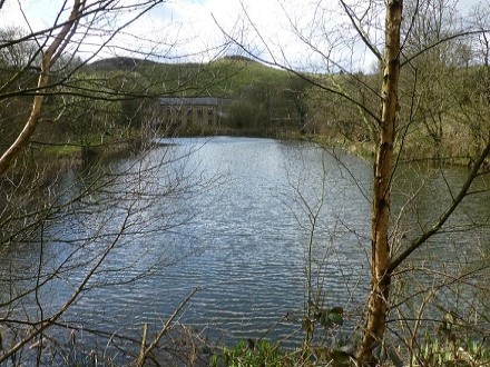 Eagle Mill is a mixed coarse fishery