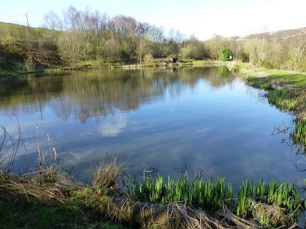 Fairbanks Pool was turned over to coarse fishing in 2018