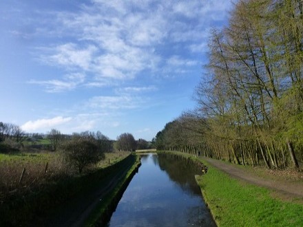 Huddersfield Narrow Canal holds most species of coarse fish