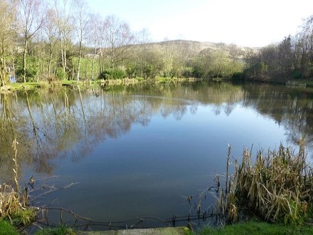 Kilngreen pool is mainly a carp pool