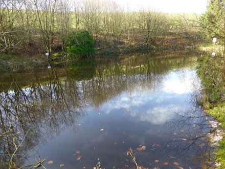 Lea Pool is an intimate water