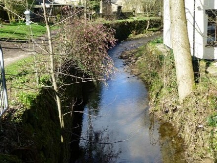 The River Tame is a class one Brown trout river on its upper reaches